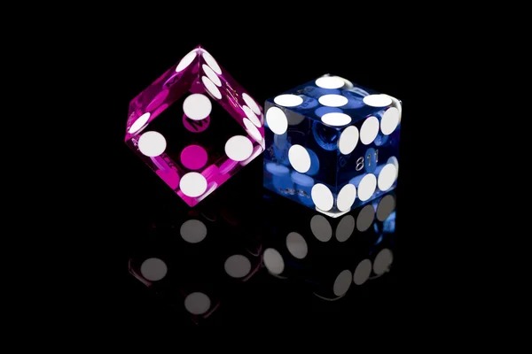 jamur4d Game type